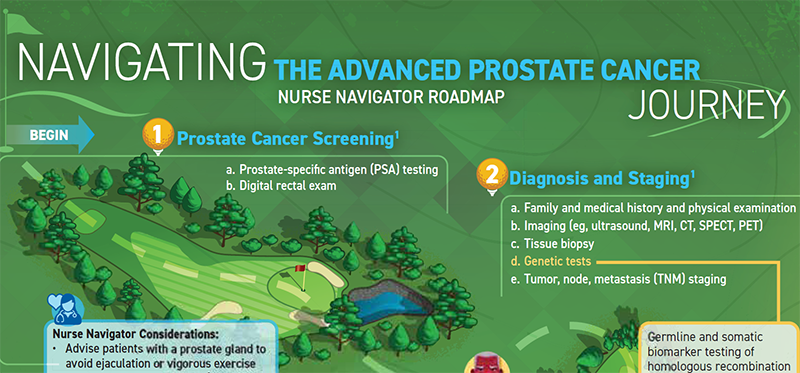 The Advanced Prostate Cancer Nurse Navigator Roadmap