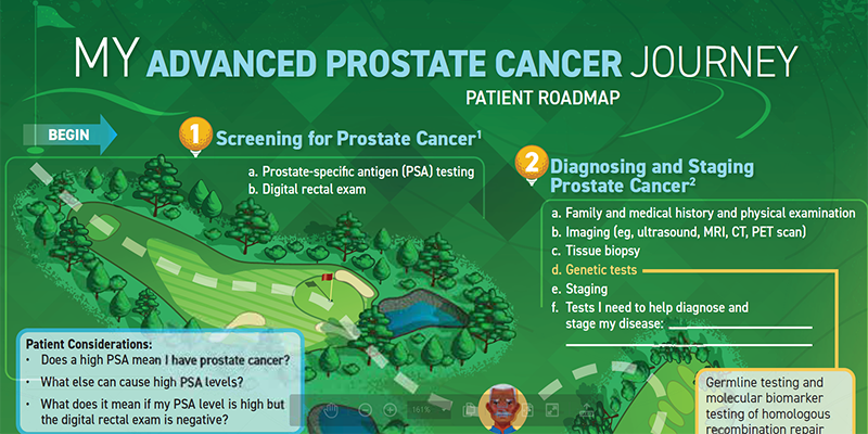 The Advanced Prostate Cancer Patient Roadmap